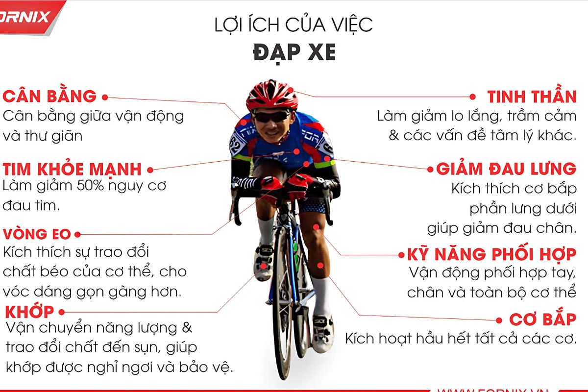 LỢI ÍCH VIỆC ĐI XE ĐẠP 2 LỢI ÍCH VIỆC ĐI XE ĐẠP