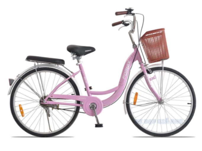 Xe Đạp Phổ Thông 24 Inch Fornix RG24 - khuyến mãi, giá rẻ
