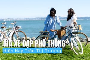 Giá Xe Đạp Bao Nhiêu Giá Các Loại Xe Đạp Phổ Thông Hiện Nay