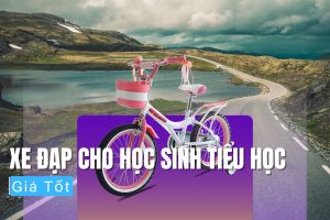 Top Xe Đạp Cho Học Sinh Tiểu Học Cấp 1 Giá Tốt