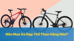 Nên Mua Xe Đạp Thể Thao Hãng Nào?