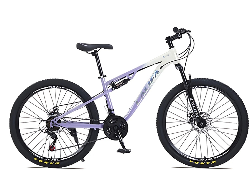 Bảng Giá Các Loại Xe Đạp Thể Thao 36 Xe đạp địa hình MTB Califa CS500 chắn chắn, bền bỉ