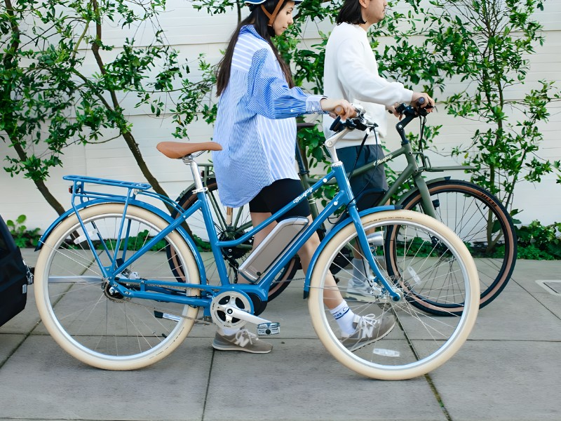 Bảng Giá Xe Đạp Thường Hiện Nay Trên Thị Trường 3 Xe đạp phổ thông hiện nay trên thị trường