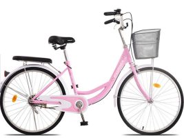 Xe đạp 24 inch Fornix RG24