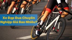 Xe Đạp Đua Chuyên Nghiệp Giá Bao Nhiêu Tiền