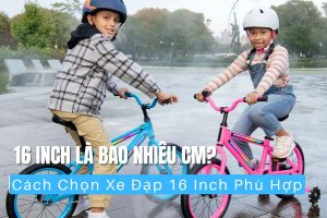 16 Inch Là Bao Nhiêu Cm Cách Chọn Xe Đạp 16 Inch Phù Hợp