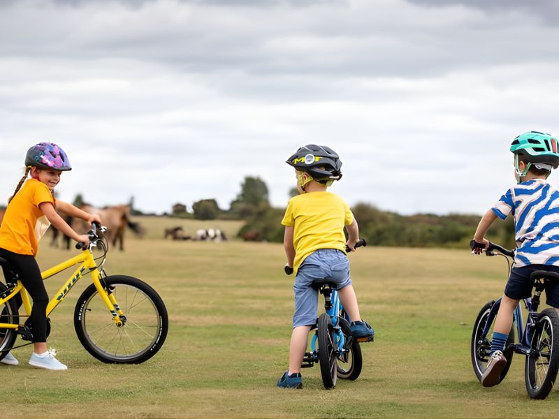 16 Inch Là Bao Nhiêu Cm? Cách Chọn Xe Đạp 16 Inch Phù Hợp 6 Xe đạp 16 inch có đa dạng mức giá phù hợp mọi gia đình