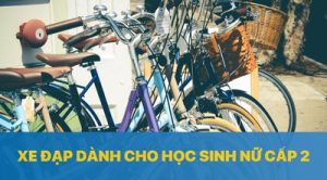 Xe đạp dành cho học sinh cấp 2 - Chính hãng, giá rẻ