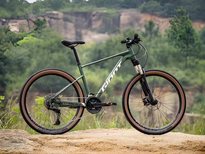 Các Mẫu Xe Đạp Đài Loan Giant Phổ Biến 2 Xe đạp Đài Loan Giant thiết kế hiện đại, bền đẹp