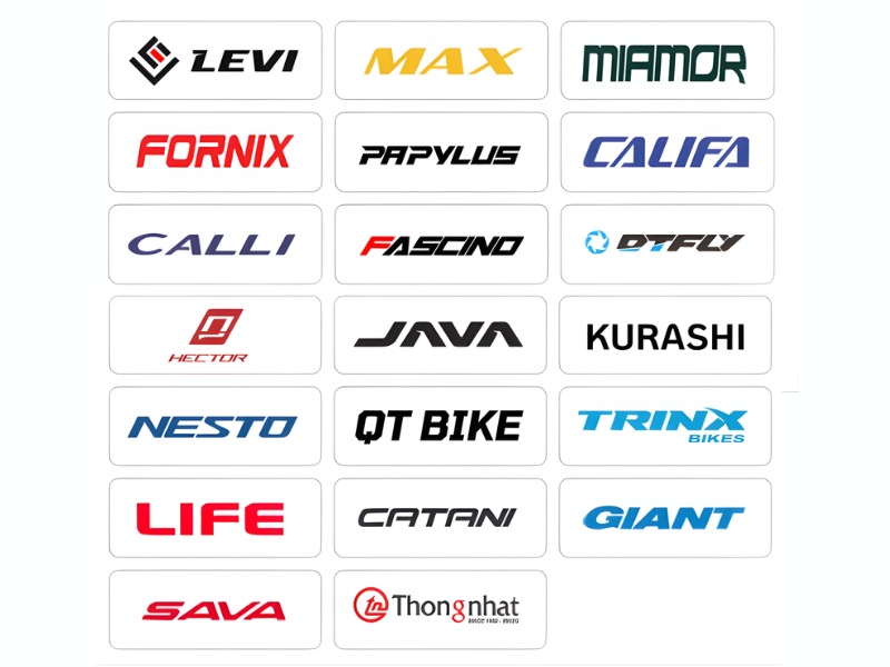 Giá Xe Đạp Thể Thao Ảnh Hưởng Bởi Yếu Tố Nào? 3 Thương hiệu xe đạp thể thao phổ biến tại Việt Nam