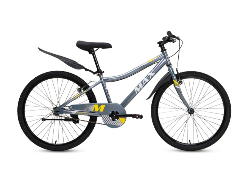 Giá Xe Đạp Thể Thao Ảnh Hưởng Bởi Yếu Tố Nào? 7 Xe đạp thể thao Max Bike Chubby 3 24 inch khung hợp kim thép