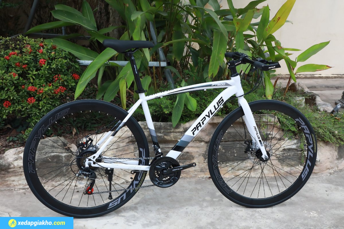 Với 3 Triệu Nên Mua Xe Đạp Thể Thao Nào Tốt Nhất? 5 Xe đạp touring phù hợp đi đường dài
