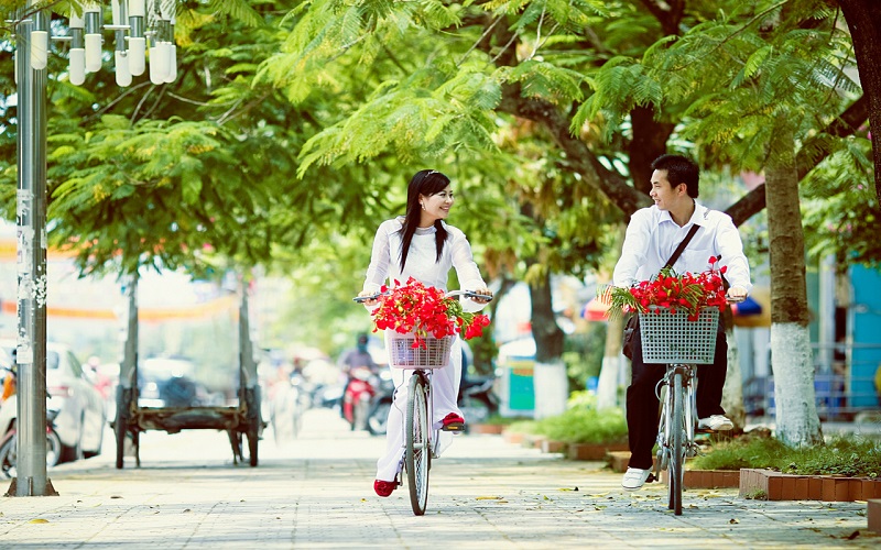 Xe Đạp Học Sinh Đồng Hành Trên Quãng Đường Đến Trường