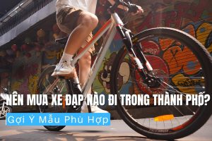 Nên Mua Xe Đạp Nào Đi Trong Thành Phố Gợi Ý Mẫu Phù Hợp