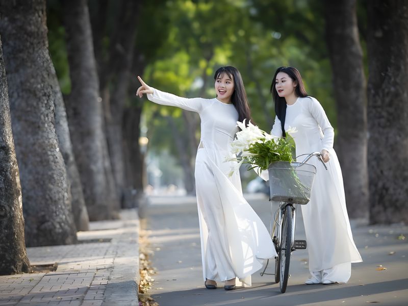 Top Xe Đạp Cho Học Sinh Cấp 3 Được Ưa Chuộng Hiện Nay 2 Xe đạp cho học sinh cấp 3 chất lượng, giá rẻ