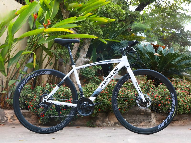 Top Xe Đạp Cho Học Sinh Cấp 3 Được Ưa Chuộng Hiện Nay 3 Xe đạp học sinh cấp 3 cho nam mạnh mẽ, linh hoạt trên mọi cung đường