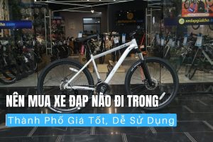 Nên mua xe đạp nào đi trong thành phố giá tốt, dễ sử dụng