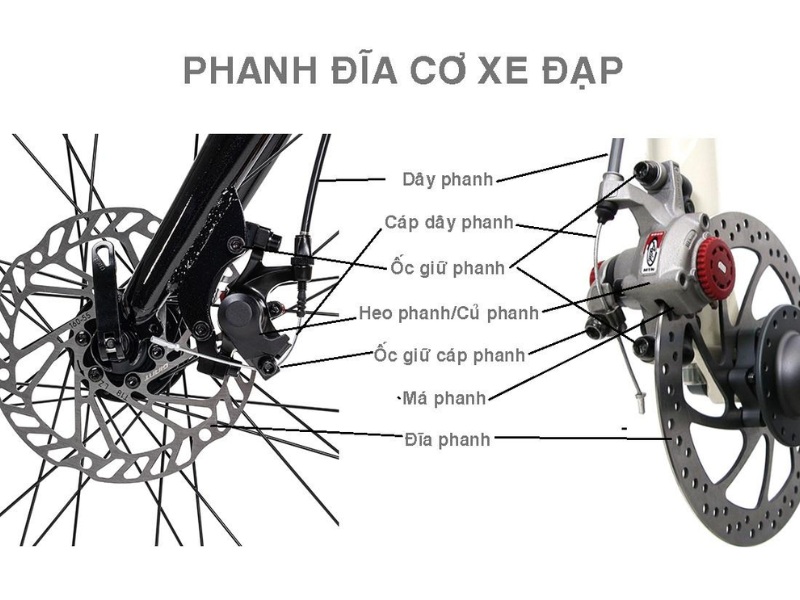 Các Bước Thay Má Phanh Đĩa Xe Đạp Thể Thao 11 Thay má phanh đĩa xe đạp sai chiều