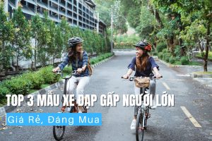 Top 3 Mẫu Xe Đạp Gấp Người Lớn Giá Rẻ, Đáng Mua 4 Top 3 mẫu xe đạp gấp người lớn giá rẻ, đáng mua