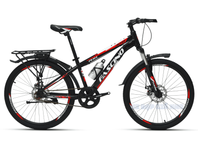 Xe Đạp Thể Thao 24 inch FASCINO FS124