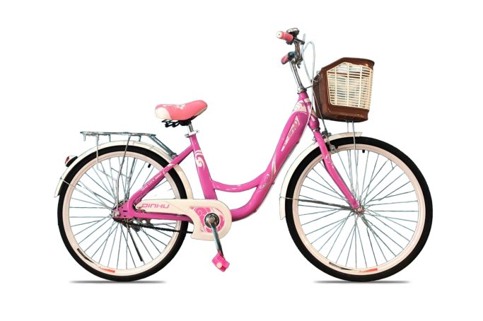 Xe đạp phổ thông 24inch Dinhu - khuyến mãi