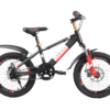Xe Đạp Cho Bé 20 Inch Vicky Vic120