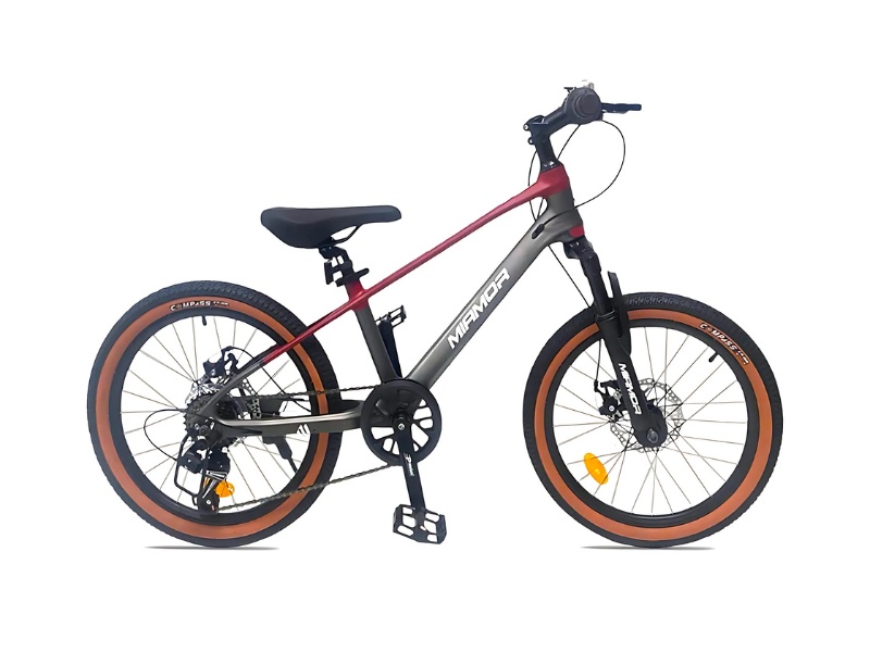 Top 5 mẫu xe đạp cho trẻ em 10 tuổi giá rẻ 23 Xe đạp địa hình mtb trẻ em Miamor Thunder 20 inch
