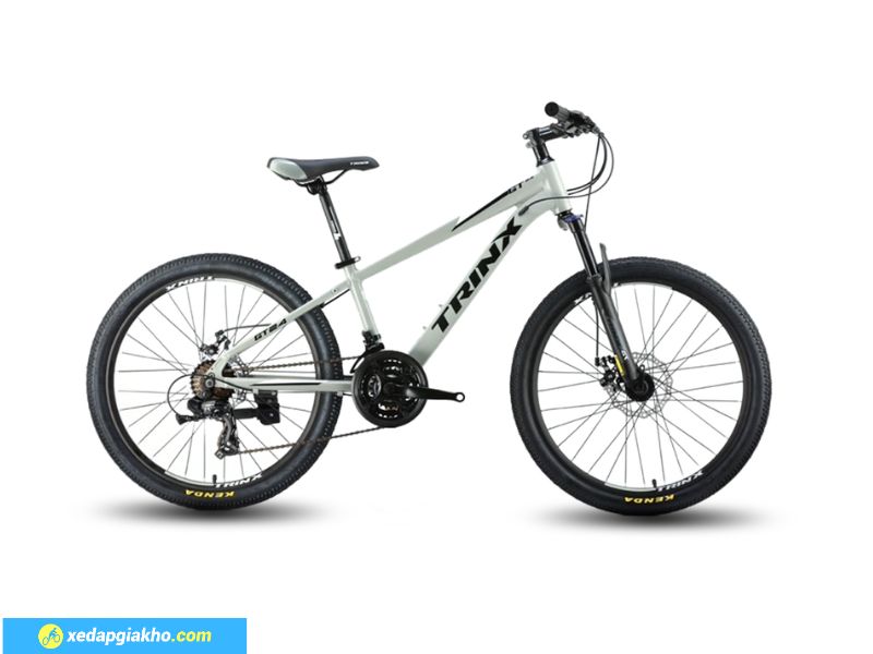 Top 8 Mẫu Xe Đạp Trẻ Em Giá Rẻ TP.HCM 9 Xe đạp trẻ em thể thao, phù hợp cho bé đi học