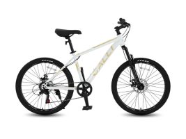 Xe đạp nữ giá rẻ thể thao phong cách năng động