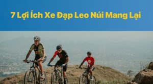 7 Lợi Ích Xe Đạp Leo Núi Mang Lại Cho Sức Khỏe