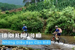 Lợi Ích Xe Đạp Leo Núi Những Điều Bạn Cần Biết