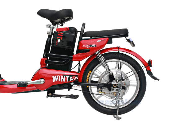 yen-sau-xe-dap-dien-Winter