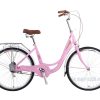 Xe Dap Pho Thong 24 Inch Vicky VM24