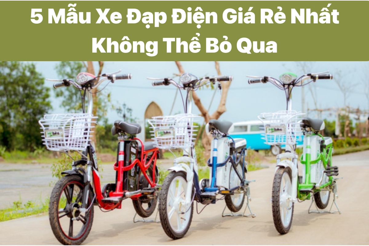 5 Mẫu Xe Đạp Điện Giá Rẻ Nhất Không Thể Bỏ Qua 2 5 mẫu xe đạp điện giá rẻ được giới trẻ yêu thích nhất