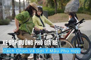 Xe Đạp Đường Phố Giá Rẻ Cách Chọn Và Gợi Ý Mẫu Phù Hợp