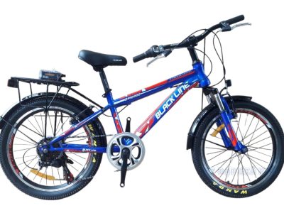 Xe Dap Tre Em 20 Inch Black Line De Dia