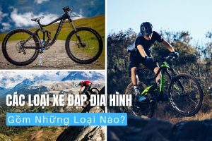 Các Loại Xe Đạp Địa Hình Gồm Những Loại Nào