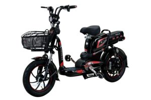 Xe dap dien Osakar