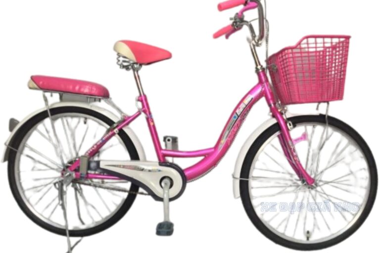 Địa chỉ mua xe đạp học sinh quận 5 chính hãng 3 Xe Dap Pho Thong 24 Inch HMT Viet Nam