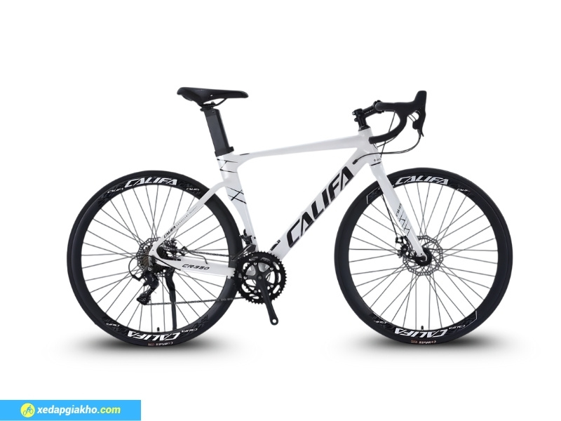 Top 5 Xe Đạp Đua Được Người Yêu Đua Xe Đạp Tin Dùng 6 Xe đua giá rẻ phù hợp cho người mới bắt đầu