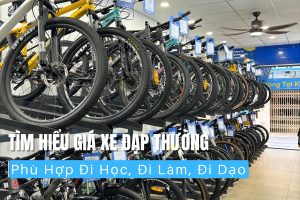 Tìm Hiểu Giá Xe Đạp Thường Phù Hợp Đi Học, Đi Làm, Đi Dạo 14 Giá xe đạp thường phù hợp mọi nhu cầu