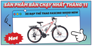 xe đạp yêu thích mua nhiều nhất