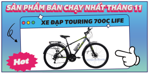 xe đạp yêu thích mua nhiều nhất