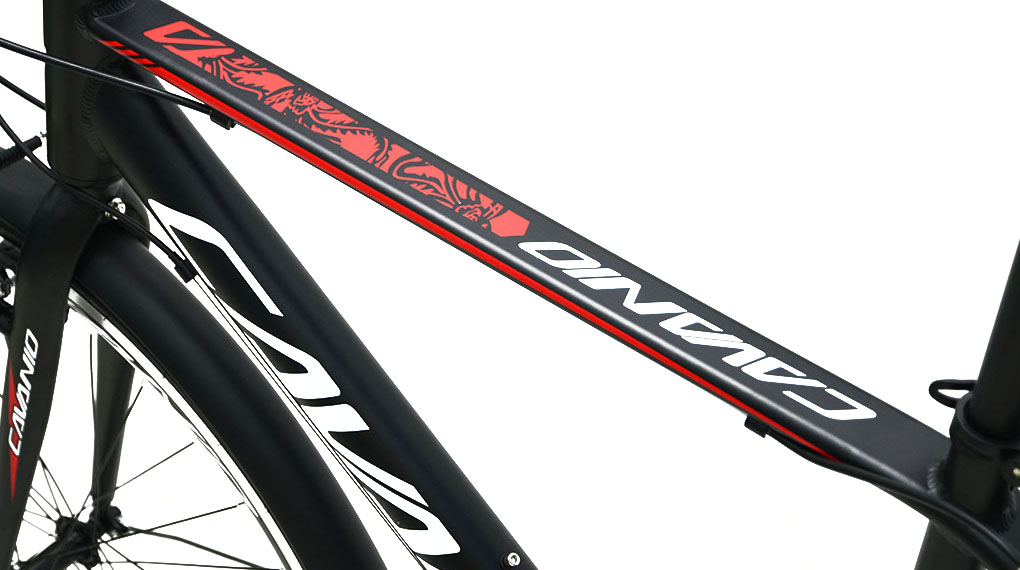 Xe Đạp Cavanio Của Nước Nào? Có Tốt Không? Top 3 chiếc xe chất lượng 2 Xe đạp Cavanio Focus