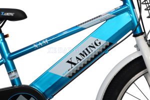 Xe Đạp Trẻ Em Xaming XM06 20 Inch