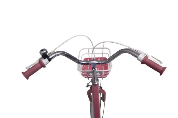 Xe Đạp Giá Kho – Nguồn Xe Đạp Nhập Khẩu Lớn Nhất Việt Nam
