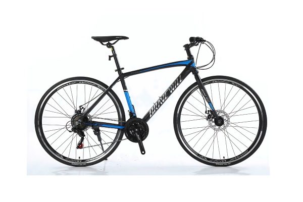 Xe Đạp Touring Brave Will R3000 700c Màu Xanh