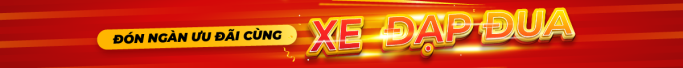 Xe Đạp Giá Kho – Nguồn Xe Đạp Nhập Khẩu Lớn Nhất Việt Nam