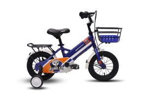 Xe Đạp Cho Bé Trai Borgki KungFu 223 12 Inch
