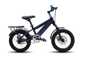 Xe Đạp Địa Hình Trẻ Em Brave Will 16 Inch - xanh